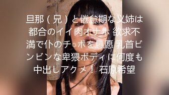 旦那（兄）と倦怠期な义姉は都合のイイ肉オナホ 欲求不満で仆のチ○ポを恳愿 乳首ビンビンな卑猥ボディに何度も中出しアクメ！ 石原希望