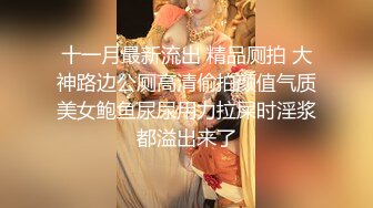 十一月最新流出 精品厕拍 大神路边公厕高清偷拍颜值气质美女鲍鱼尿尿用力拉屎时淫浆都溢出来了