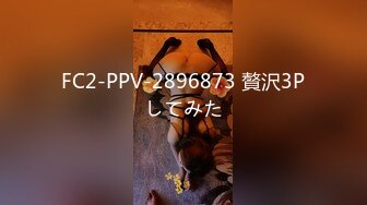 FC2-PPV-2896873 贅沢3Pしてみた