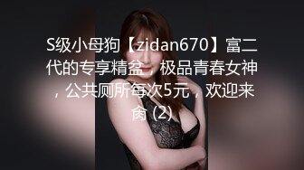 S级小母狗【zidan670】富二代的专享精盆，极品青春女神，公共厕所每次5元，欢迎来肏 (2)