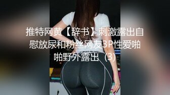 推特网黄【辞书】刺激露出自慰放尿和粉丝网友3P性爱啪啪野外露出  (3)