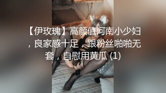 【伊玫瑰】高颜值河南小少妇，良家感十足，跟粉丝啪啪无套，自慰用黄瓜 (1)