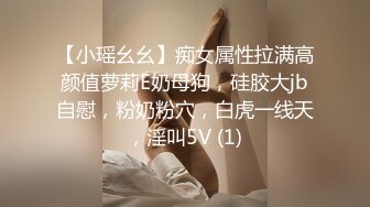 【小瑶幺幺】痴女属性拉满高颜值萝莉E奶母狗，硅胶大jb自慰，粉奶粉穴，白虎一线天，淫叫5V (1)