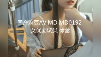 国产麻豆AV MD MD0192 女优面试员 徐蕾