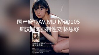 国产麻豆AV MD MD0105 痴汉尾随强制性交 林思妤