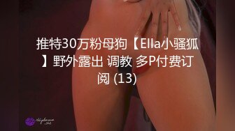 推特30万粉母狗【Ella小骚狐】野外露出 调教 多P付费订阅 (13)