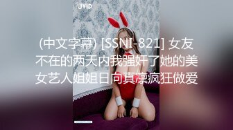 (中文字幕) [SSNI-821] 女友不在的两天内我强奸了她的美女艺人姐姐日向真凛疯狂做爱