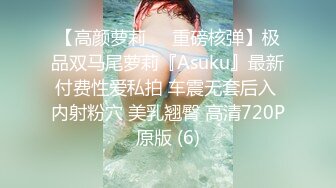 【高颜萝莉❤️重磅核弹】极品双马尾萝莉『Asuku』最新付费性爱私拍 车震无套后入 内射粉穴 美乳翘臀 高清720P原版 (6)