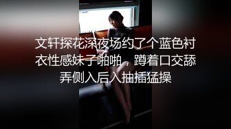 文轩探花深夜场约了个蓝色衬衣性感妹子啪啪，蹲着口交舔弄侧入后入抽插猛操