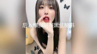 后入爆操制服黑丝秘书