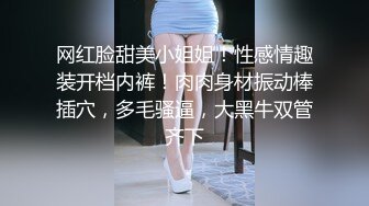 网红脸甜美小姐姐！性感情趣装开档内裤！肉肉身材振动棒插穴，多毛骚逼，大黑牛双管齐下