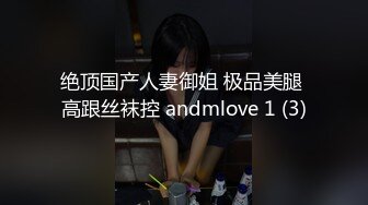 绝顶国产人妻御姐 极品美腿 高跟丝袜控 andmlove 1 (3)