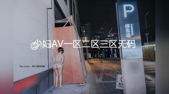 少妇AV一区二区三区无码