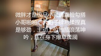 微胖才是极品小骚逼露脸勾搭小哥啪啪，大奶子肆意揉捏真是够劲，主动上位抽插浪荡呻吟，压在身下爆草蹂躏