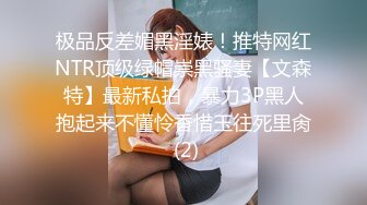 极品反差媚黑淫婊！推特网红NTR顶级绿帽崇黑骚妻【文森特】最新私拍，暴力3P黑人抱起来不懂怜香惜玉往死里肏 (2)