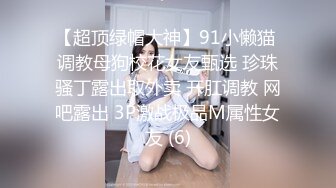 【超顶绿帽大神】91小懒猫 调教母狗校花女友甄选 珍珠骚丁露出取外卖 开肛调教 网吧露出 3P激战极品M属性女友 (6)