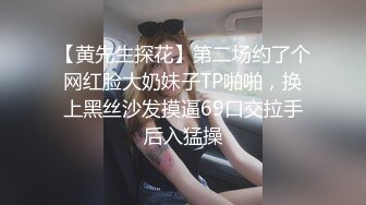 【黄先生探花】第二场约了个网红脸大奶妹子TP啪啪，换上黑丝沙发摸逼69口交拉手后入猛操