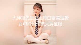 大神猫先生之上海白富美强势女CEO如何被大屌征服