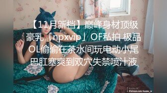 【11月新档】巅峰身材顶级豪乳「npxvip」OF私拍 极品OL偷偷在茶水间玩电动小尾巴肛塞爽到双穴失禁喷汁液