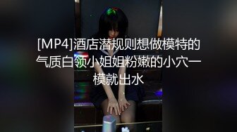 [MP4]酒店潜规则想做模特的气质白领小姐姐粉嫩的小穴一模就出水